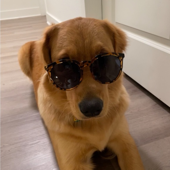 Meet your Posher, Brittany - Picture 1 of 1